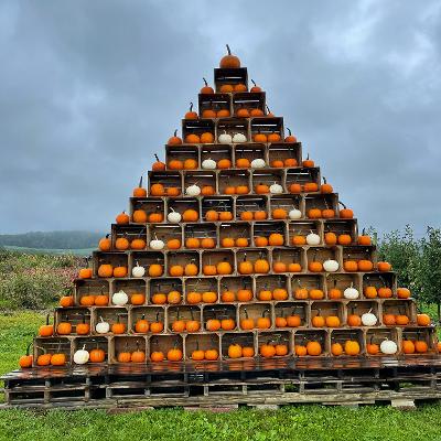 2021 pumpkin pyramid
