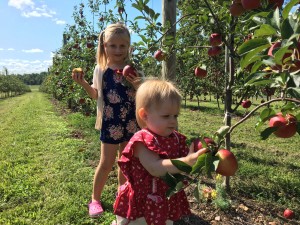 PYO Apple Sisters