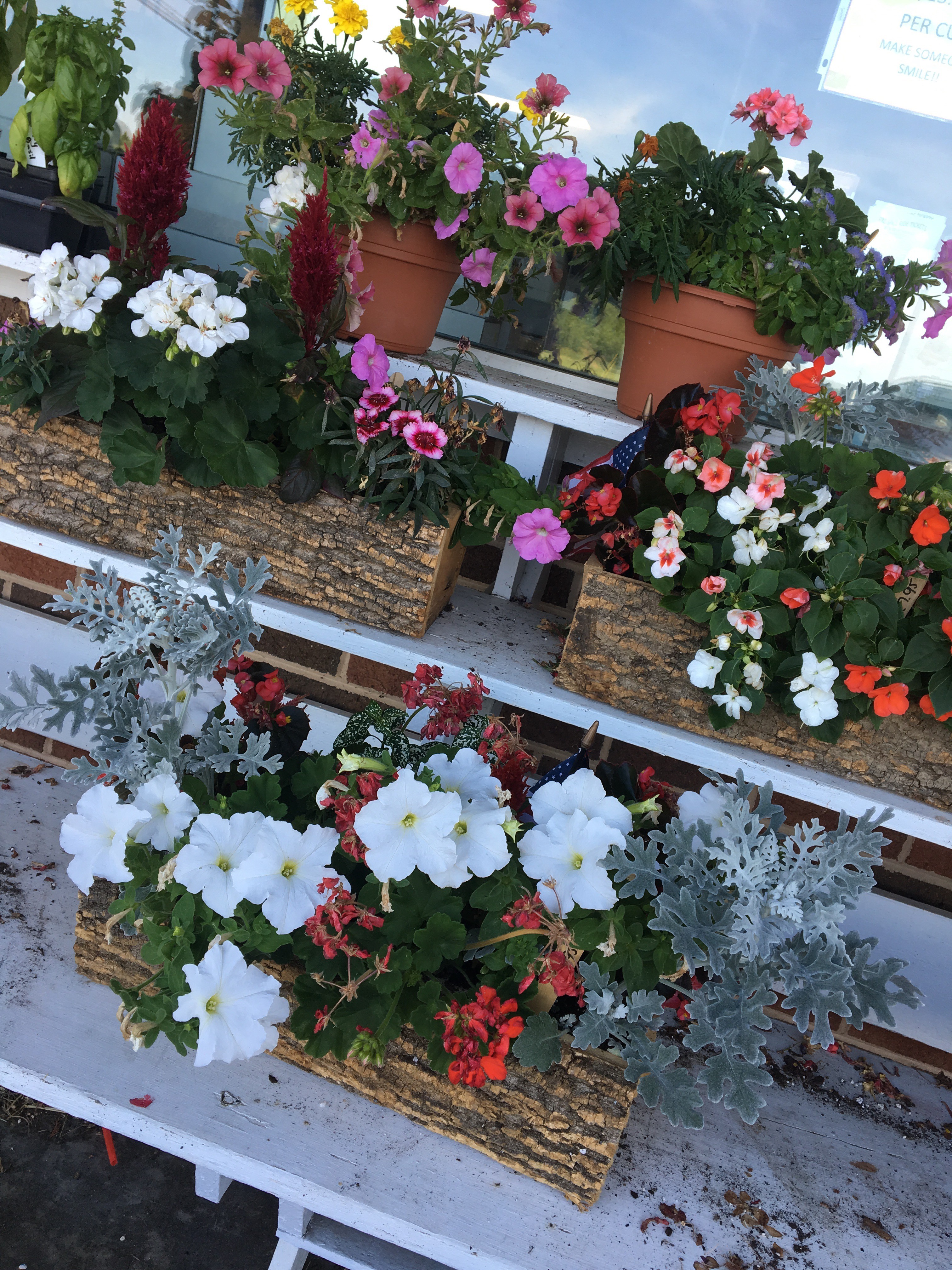 Potted Flowers For Sale Catoctin Mountain Orchard Catoctin Mountain
