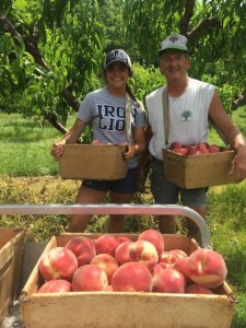 Have Fun and Pick Your Own Peaches & Apples at Catoctin Mountain Orchards in Frederick & Hagerstown, MD