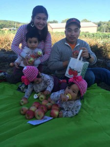 Pick Your Own Apples from the Orchard or Stop by the Bakery in Hagerstown MD