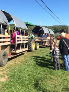 Thurmont, Hagerstown and Frederick MD- Going to Pick Apples From the Orchard