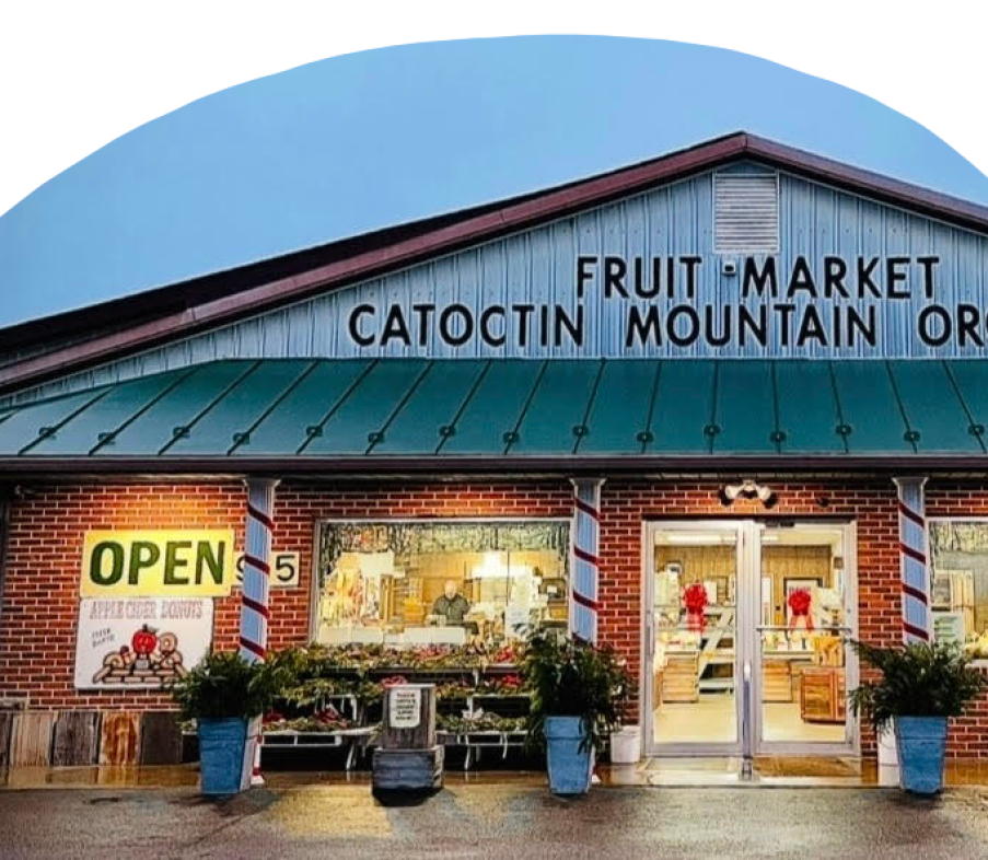 Market Front Winter Website